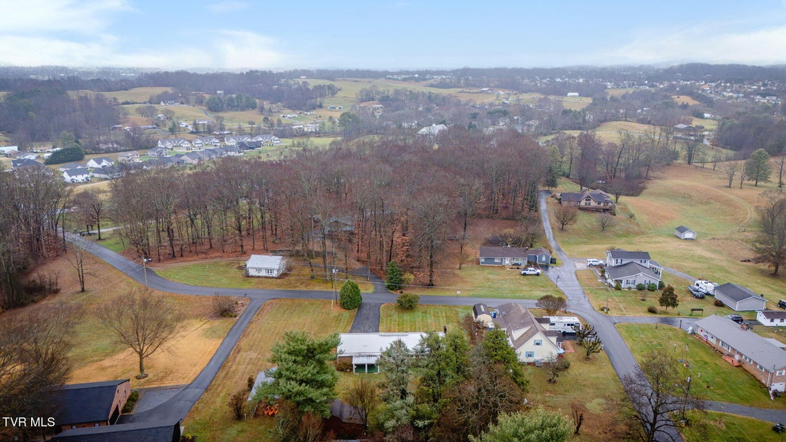 Photo #38: 121 Vines Drive