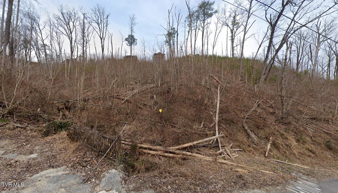 Photo #2: 1031 Deep Hollow Road