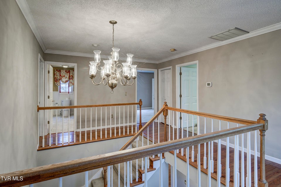 Photo #46: 2902 Greenline Road