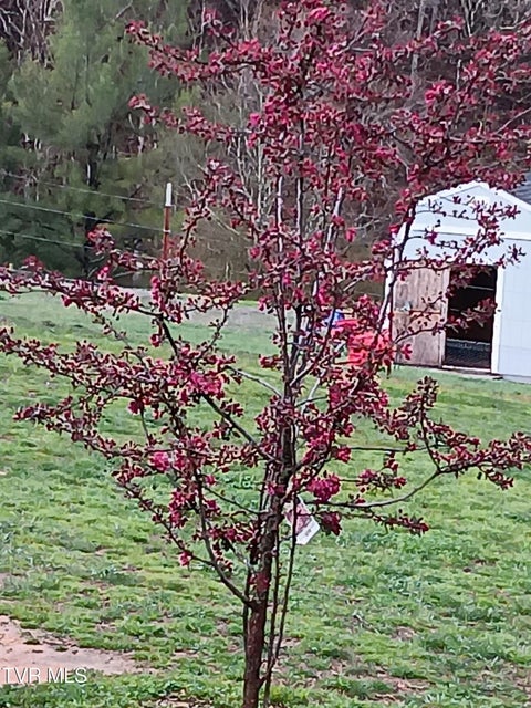 Photo #33: 935 Adams Lane