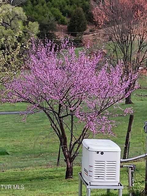 Photo #35: 935 Adams Lane