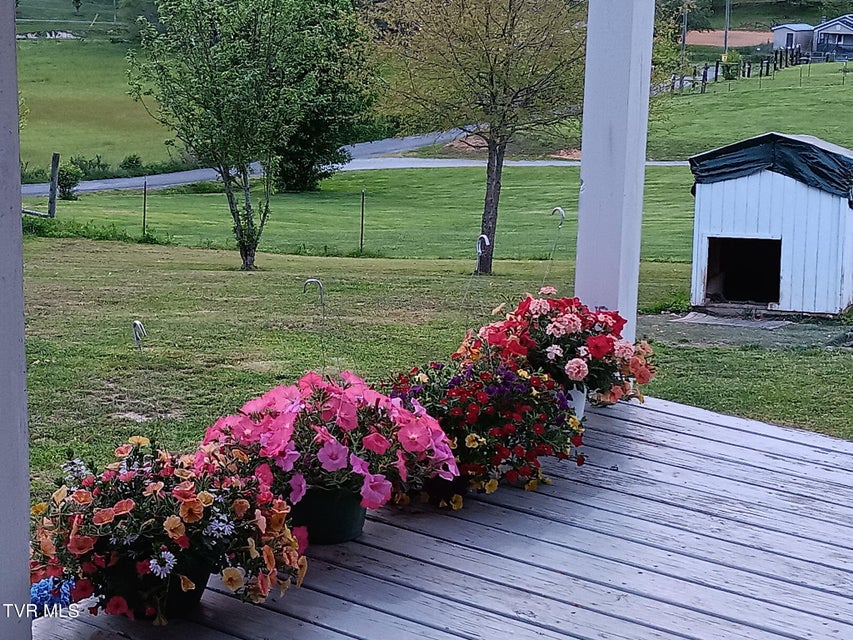 Photo #36: 935 Adams Lane