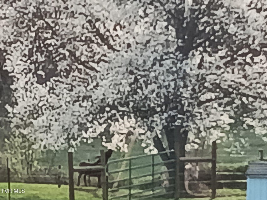 Photo #37: 935 Adams Lane