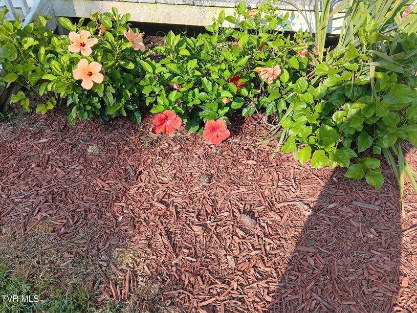 Photo #39: 935 Adams Lane