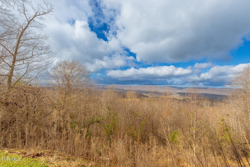 Photo #9: 512 Wood View Court