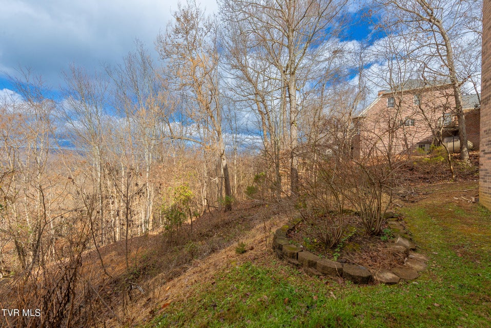 Photo #7: 512 Wood View Court