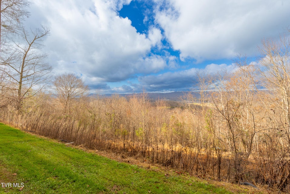 Photo #8: 512 Wood View Court