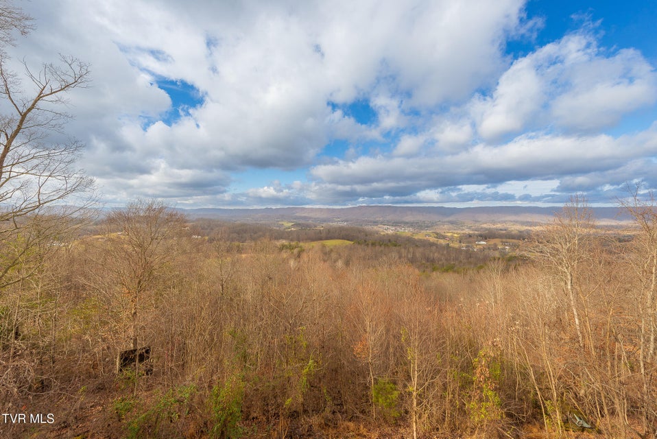 Photo #10: 512 Wood View Court