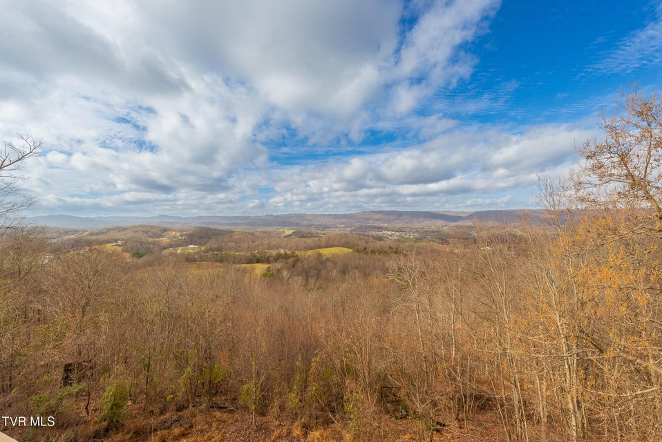 Photo #23: 512 Wood View Court