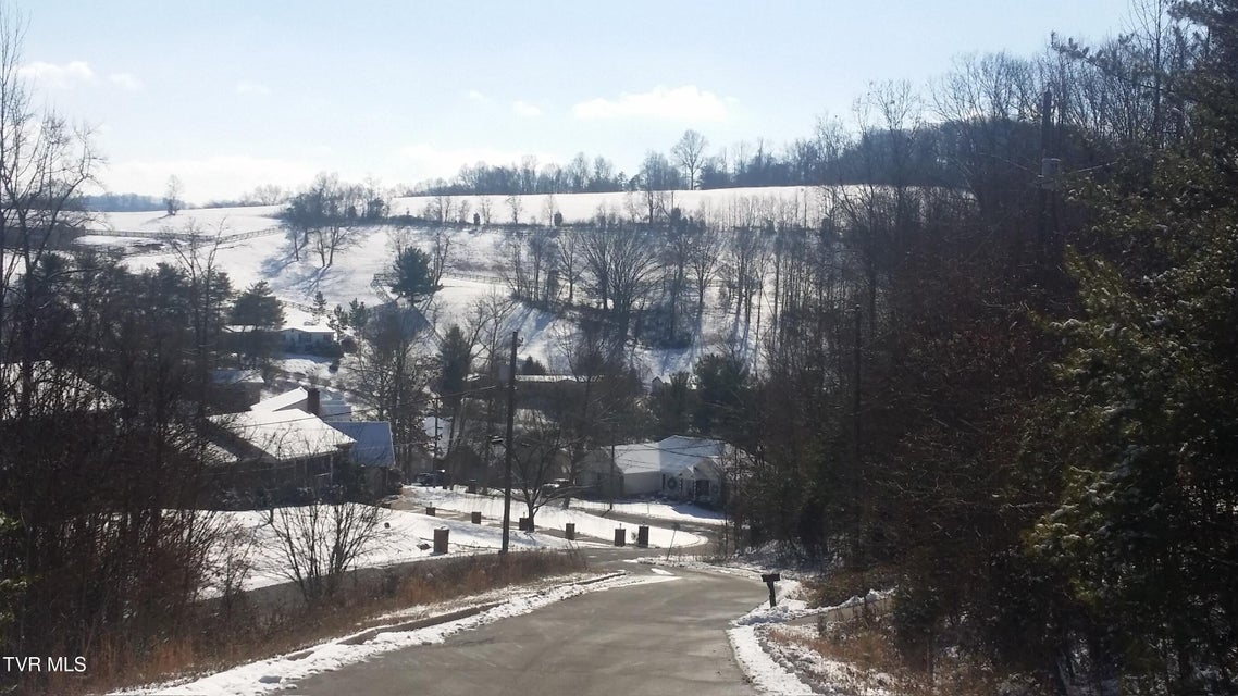 Photo #80: 512 Wood View Court