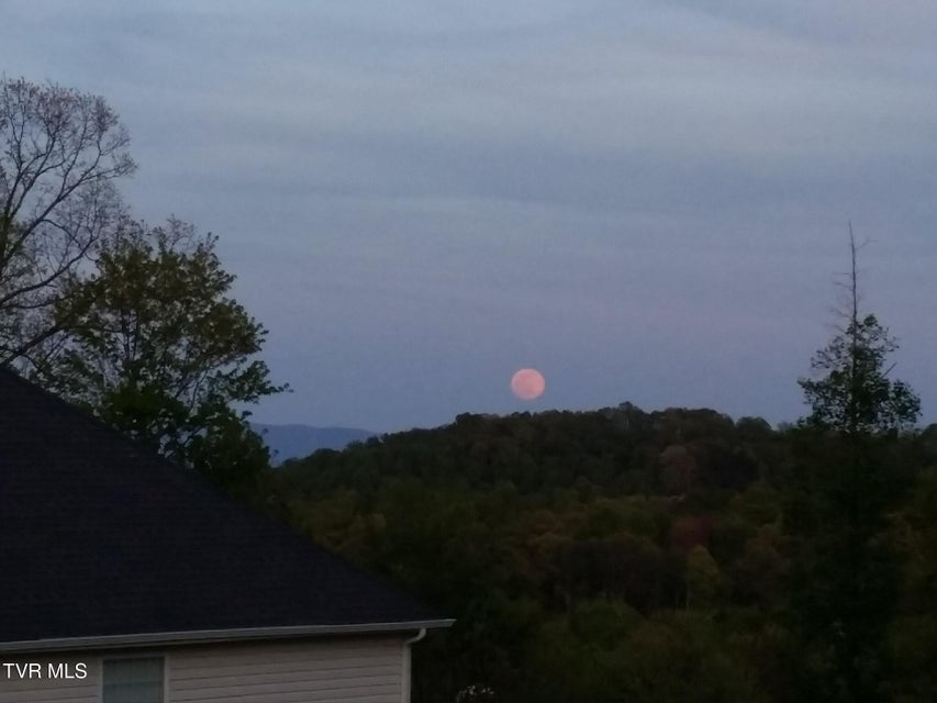 Photo #83: 512 Wood View Court