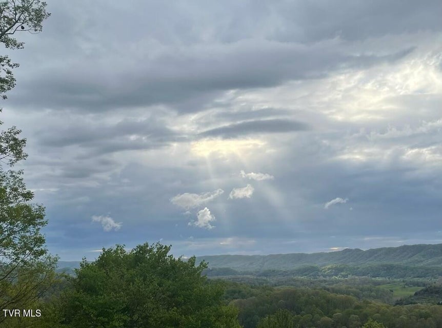 Photo #25: 512 Wood View Court