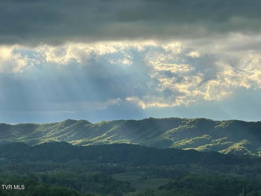 Photo #24: 512 Wood View Court