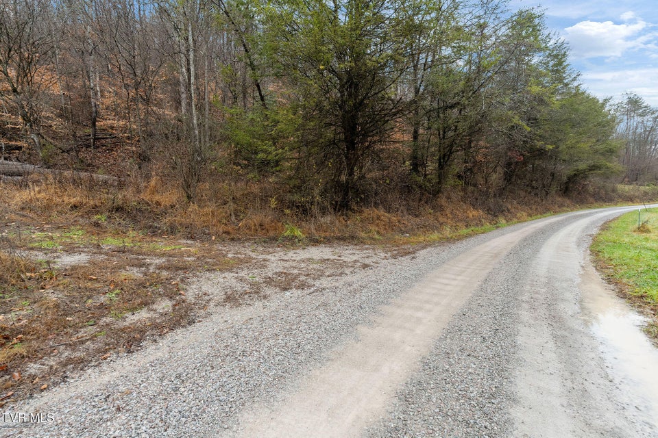 Photo #37: 7300 Snake Hollow Road