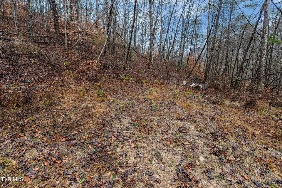 Photo #39: 7300 Snake Hollow Road