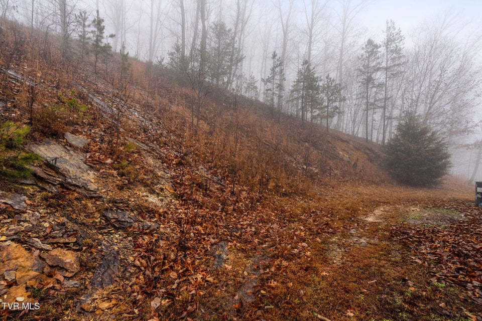 Photo #47: 7538 Snake Hollow Road