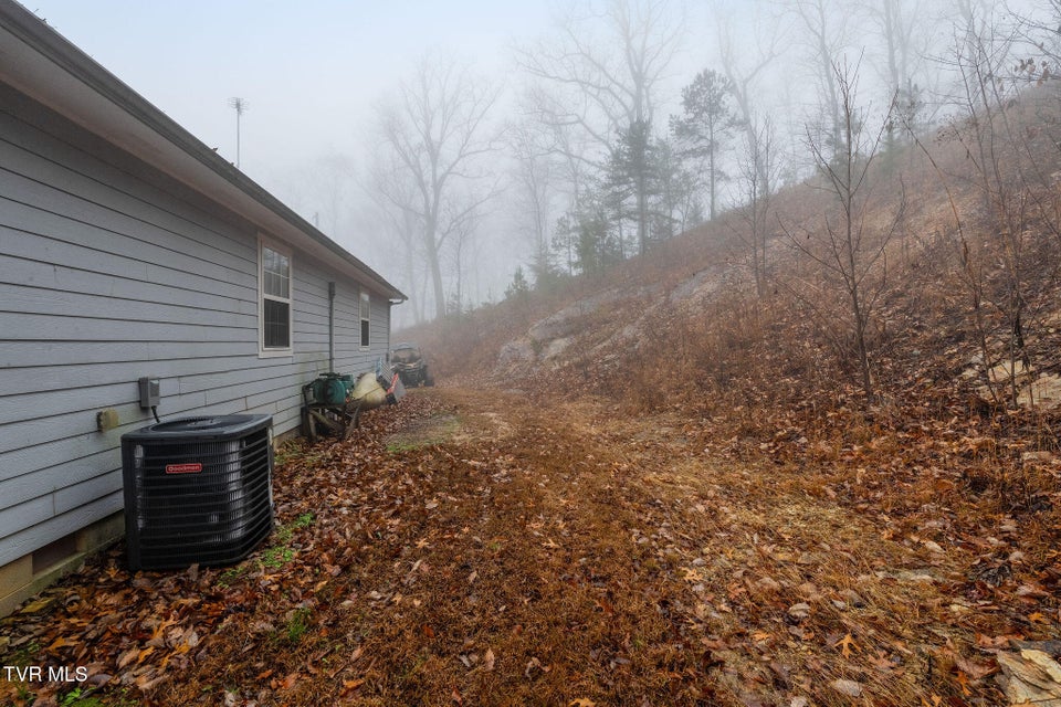 Photo #43: 7538 Snake Hollow Road