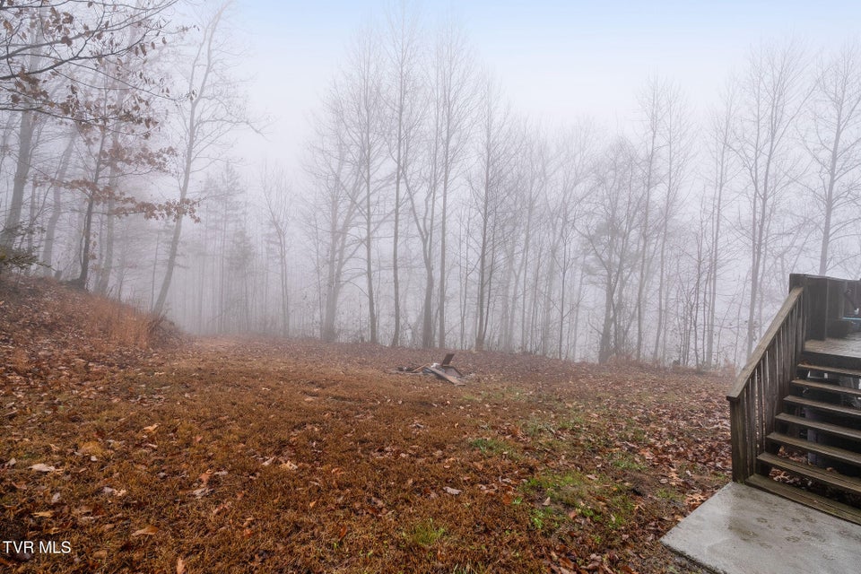 Photo #44: 7538 Snake Hollow Road