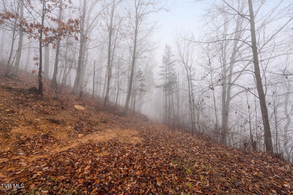 Photo #48: 7538 Snake Hollow Road