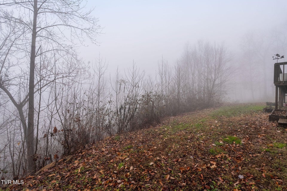 Photo #49: 7538 Snake Hollow Road