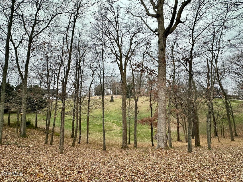 Photo #42: 2562 Liberty Road