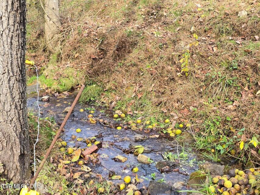 Photo #5: 3263 Trents Chapel Road