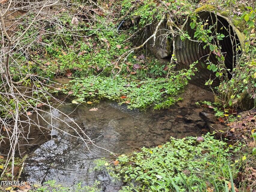 Photo #6: 3263 Trents Chapel Road