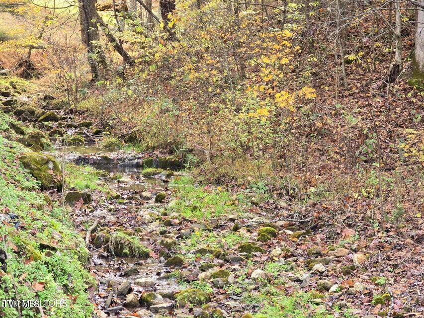 Photo #7: 3263 Trents Chapel Road