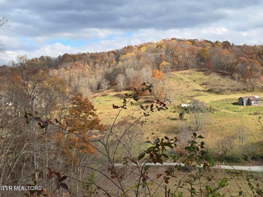 Photo #9: 3263 Trents Chapel Road