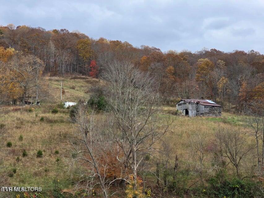 Photo #10: 3263 Trents Chapel Road