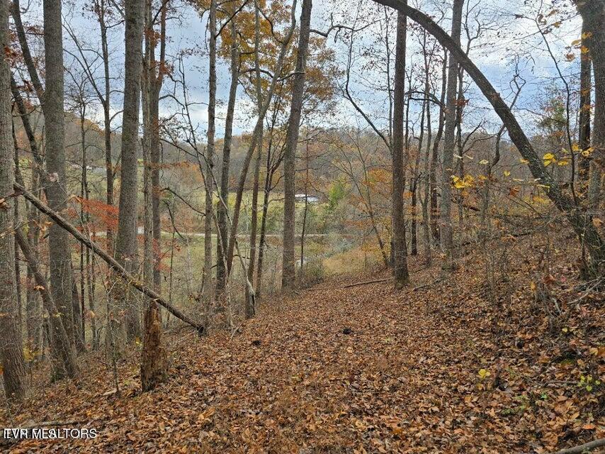 Photo #11: 3263 Trents Chapel Road