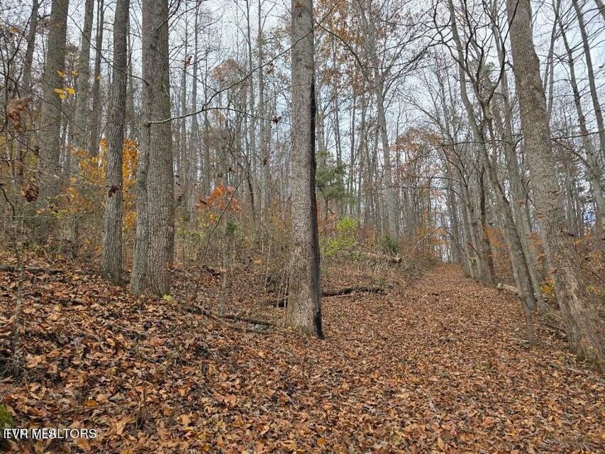 Photo #12: 3263 Trents Chapel Road