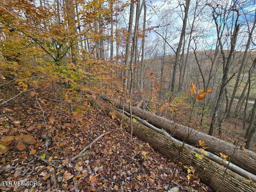 Photo #15: 3263 Trents Chapel Road