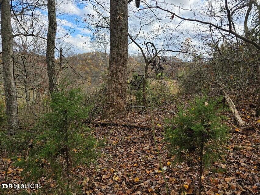 Photo #16: 3263 Trents Chapel Road