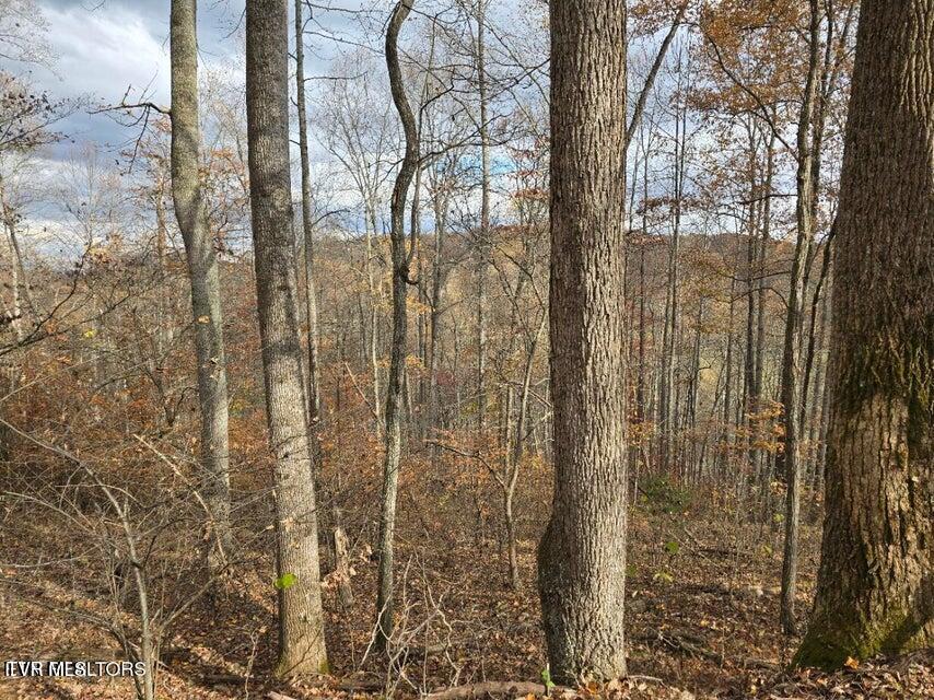 Photo #17: 3263 Trents Chapel Road