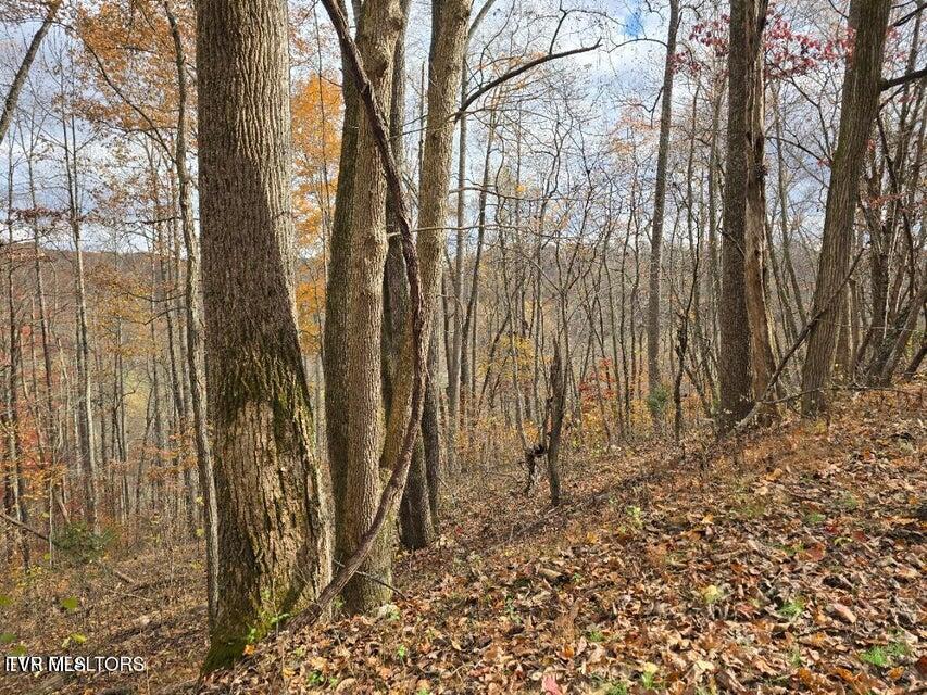 Photo #18: 3263 Trents Chapel Road