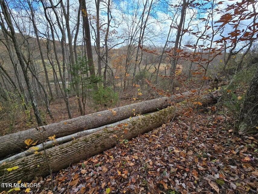 Photo #19: 3263 Trents Chapel Road