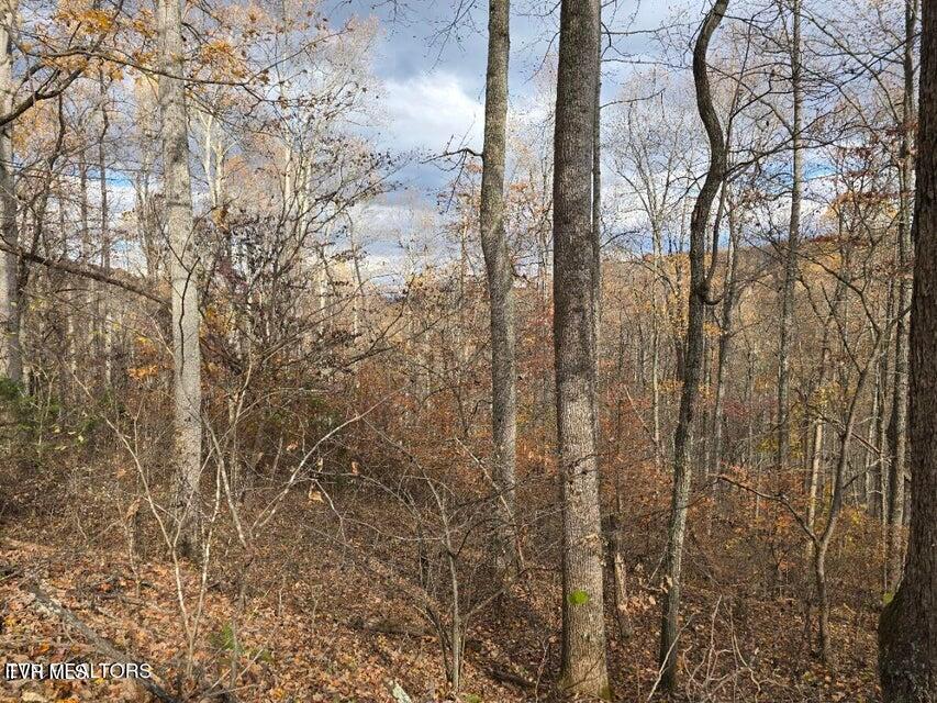 Photo #20: 3263 Trents Chapel Road