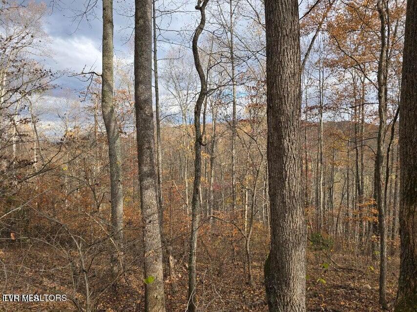 Photo #21: 3263 Trents Chapel Road