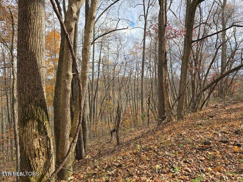 Photo #22: 3263 Trents Chapel Road