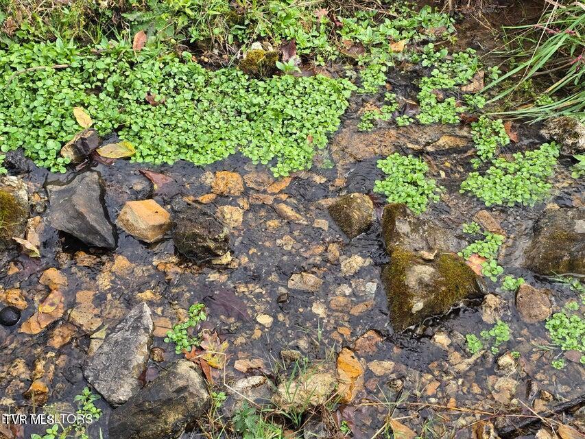 Photo #23: 3263 Trents Chapel Road