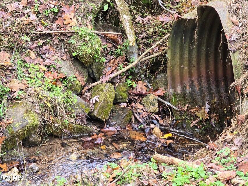 Photo #24: 3263 Trents Chapel Road