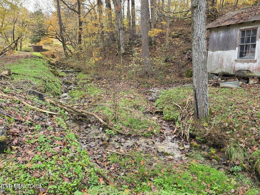 Photo #27: 3263 Trents Chapel Road