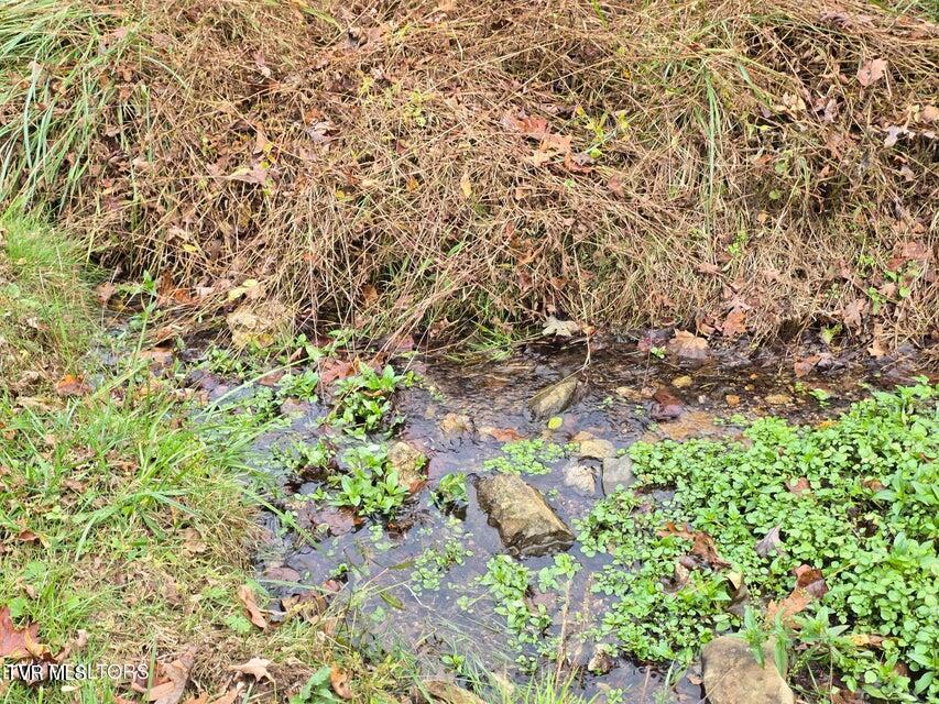 Photo #29: 3263 Trents Chapel Road