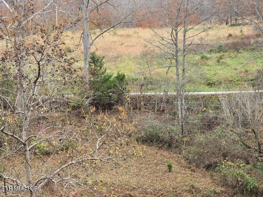 Photo #30: 3263 Trents Chapel Road