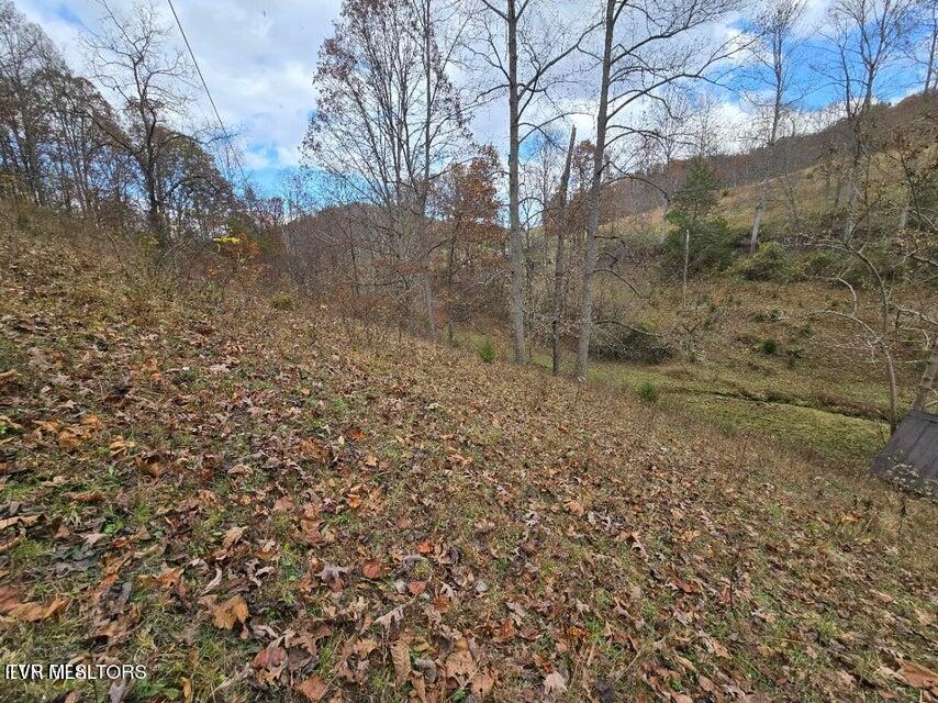 Photo #31: 3263 Trents Chapel Road