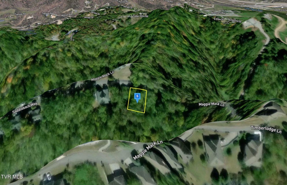 Photo #3: 529 Maggie Mack Lane