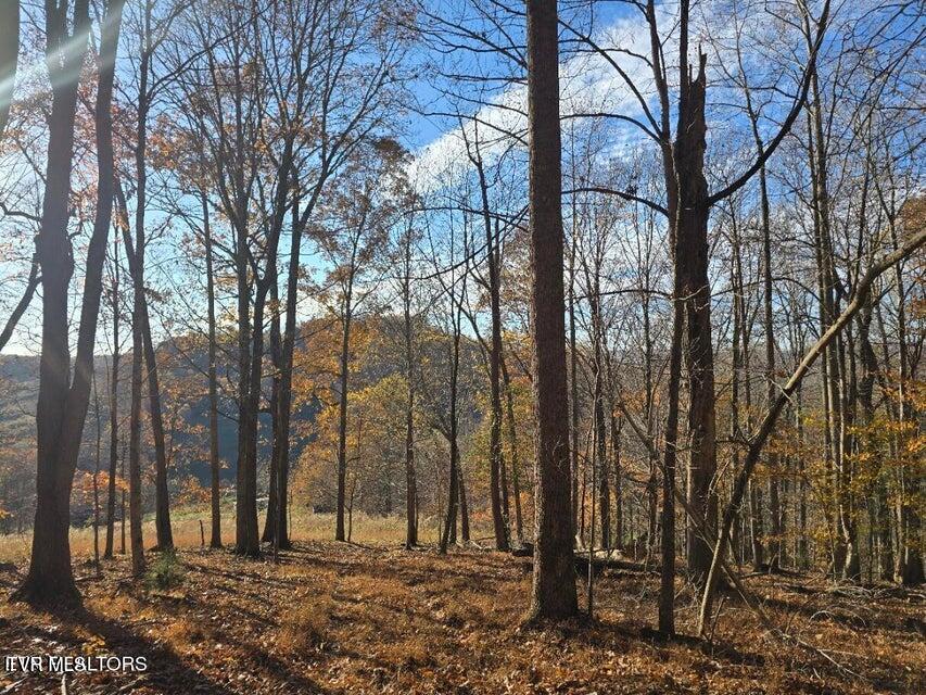 Photo #2: Tbd Trents Chapel Road