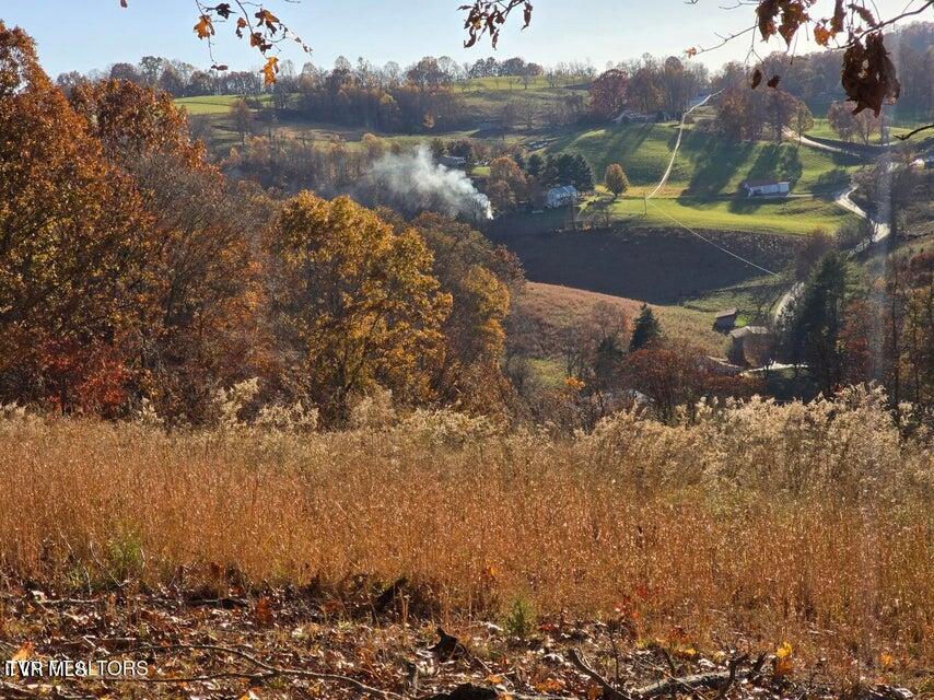 Photo #3: Tbd Trents Chapel Road