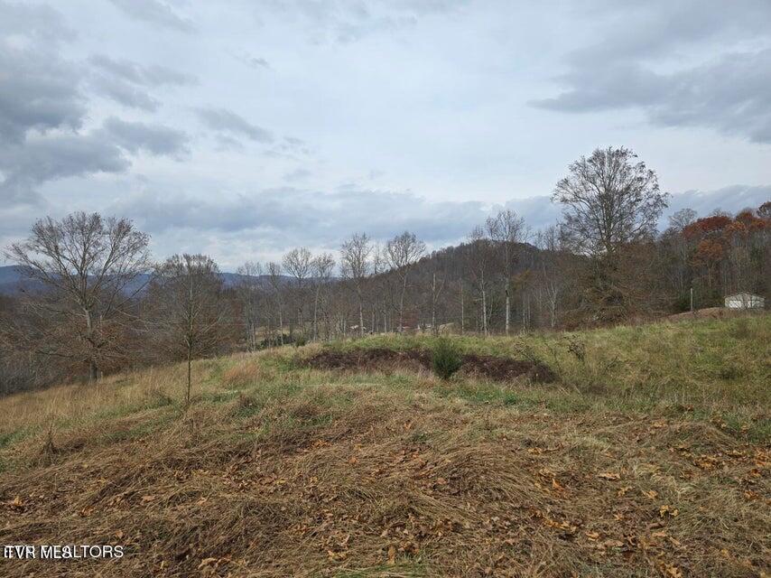 Photo #5: Tbd Trents Chapel Road